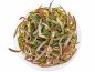 Preview: Besonderer Wasserfreund - Hygrophila lancea 'Araguaia' in vitro